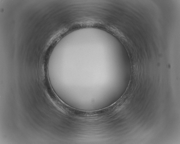 X0000080160638200612081028