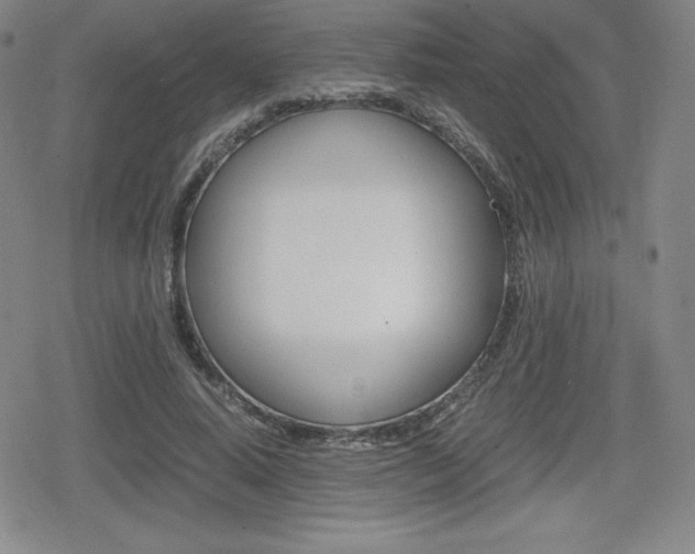 X0000080160640200612081028
