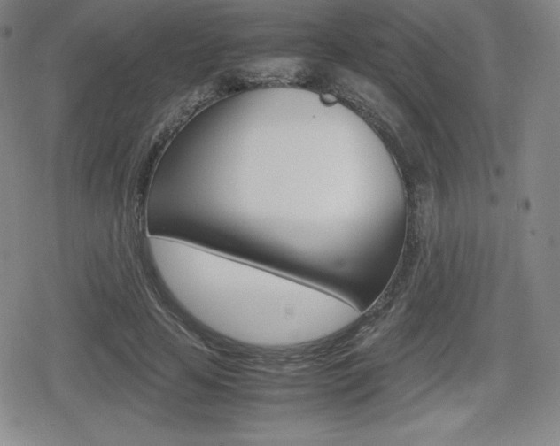 X0000080160641200612081028
