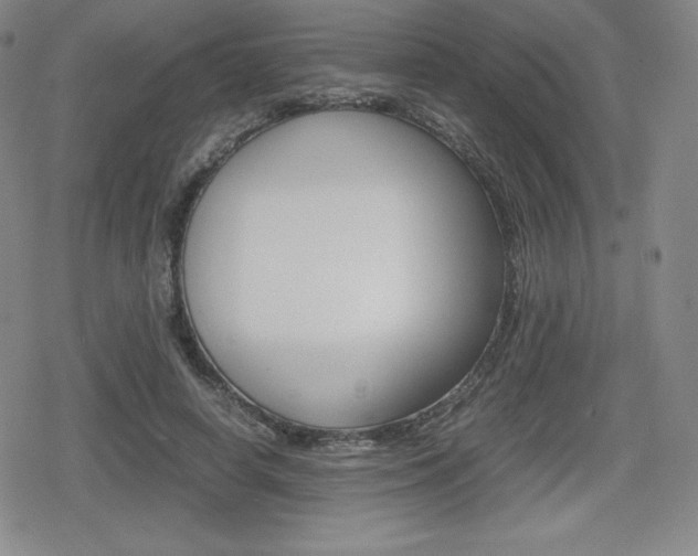 X0000080160642200612081028