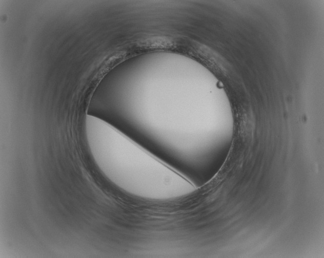 X0000080160643200612081028