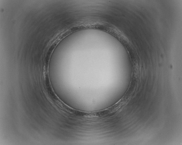 X0000080160644200612081028