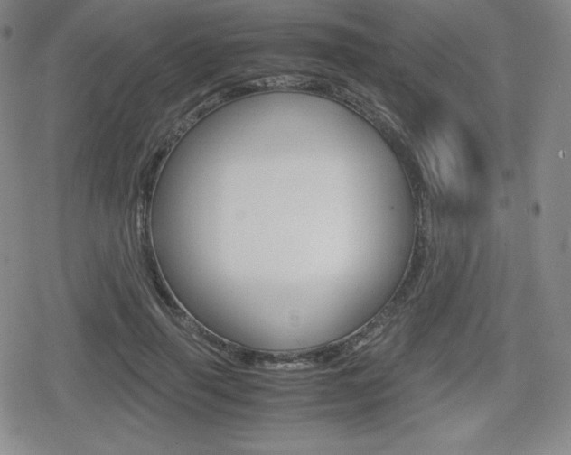 X0000080160645200612081028