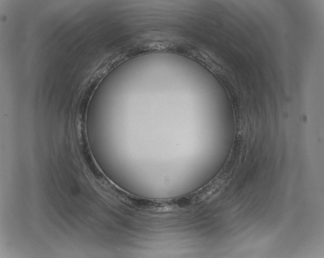 X0000080160646200612081028