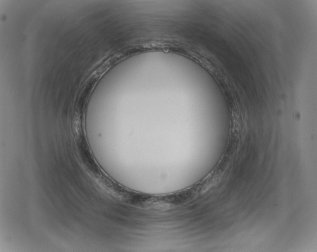 X0000080160648200612081028