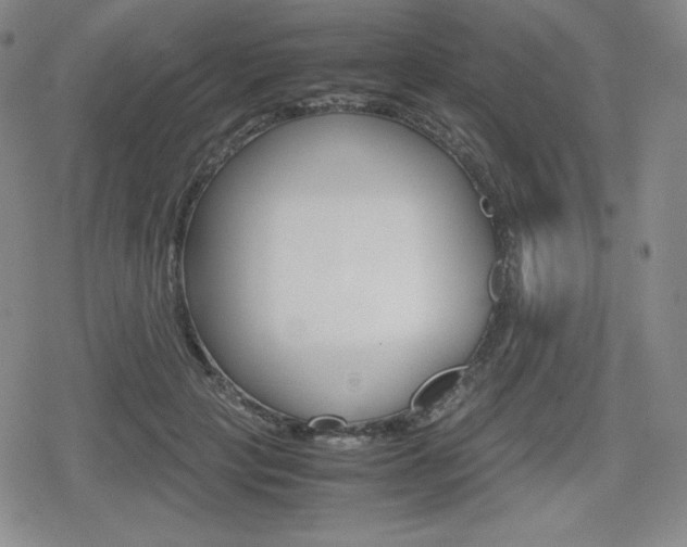 X0000080160649200612081028