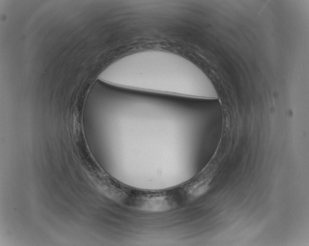 X0000080160651200612081028