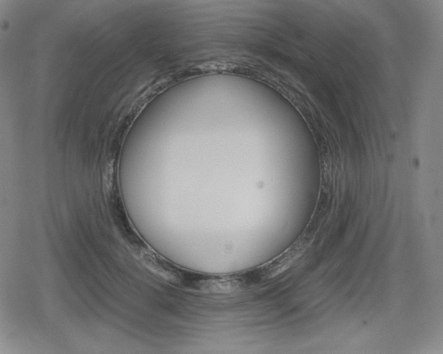 X0000080160652200612081028
