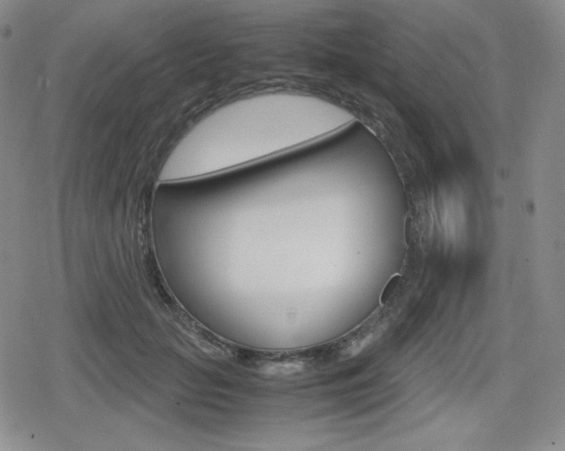 X0000080160653200612081028
