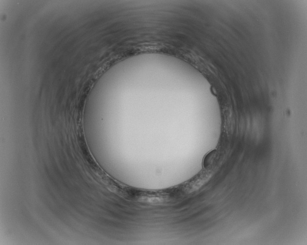 X0000080160655200612081028
