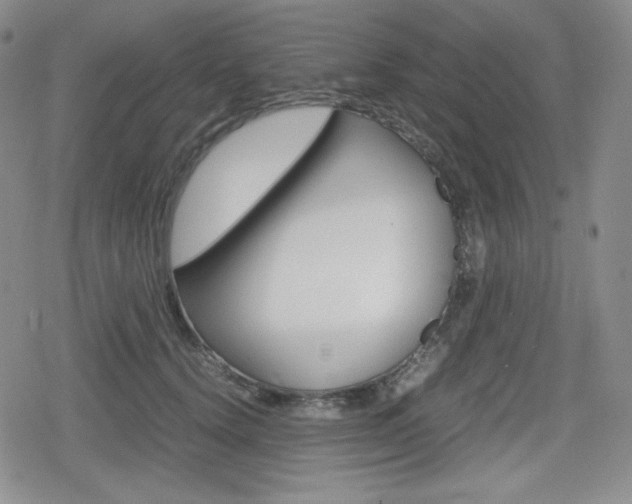 X0000080160656200612081028