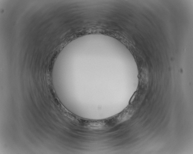 X0000080160659200612081028