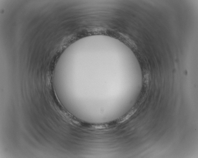 X0000080160662200612081028