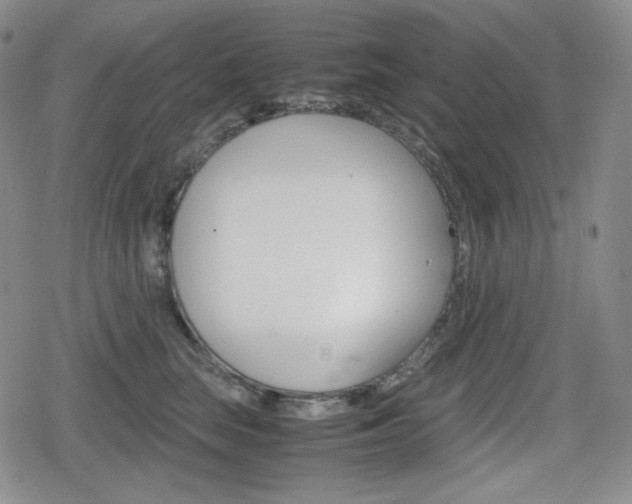 X0000080160663200612081028