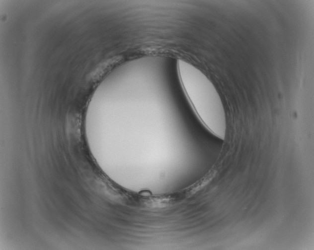 X0000080160664200612081028