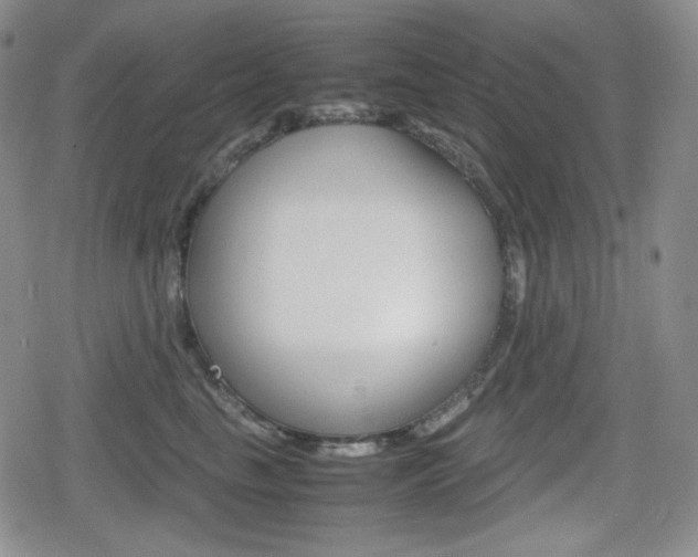 X0000080160665200612081028