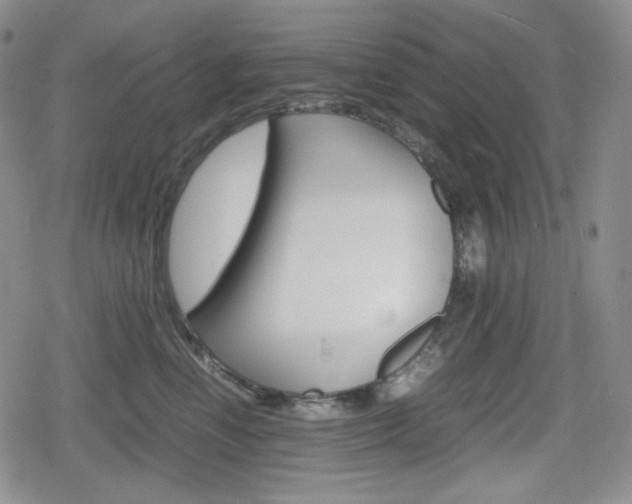 X0000080160666200612081028