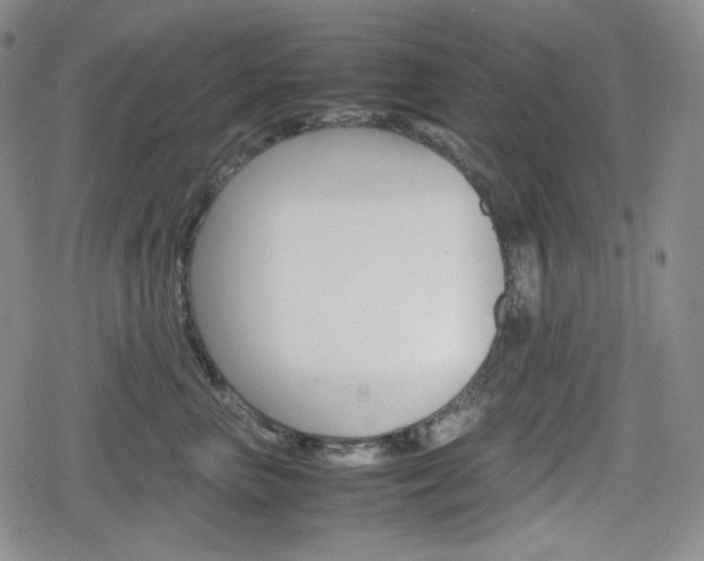 X0000080160667200612081028
