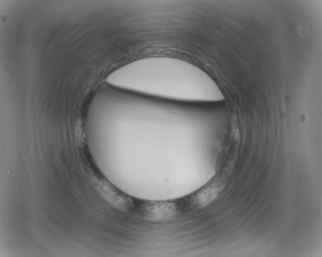 X0000080160670200612081029