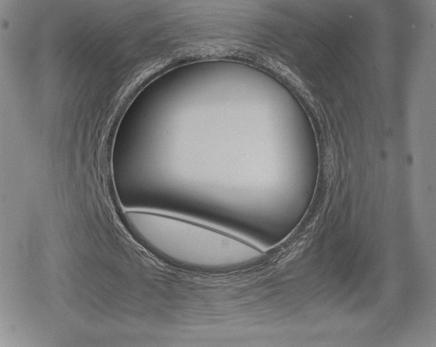 X0000080160673200612081028