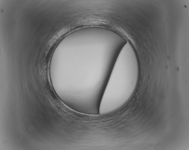 X0000080160675200612081028