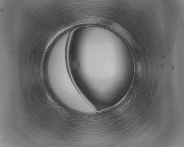 X0000080160676200612081028