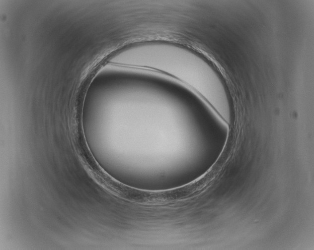 X0000080160677200612081028