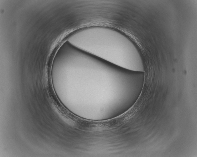 X0000080160678200612081028