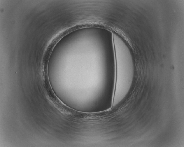 X0000080160680200612081028