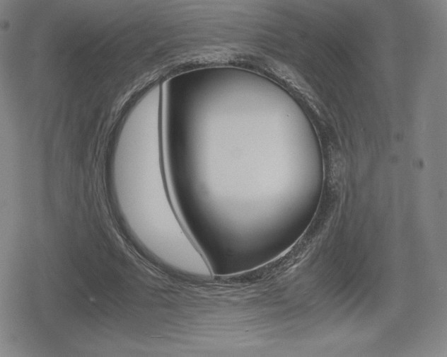 X0000080160681200612081028