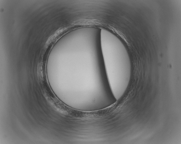 X0000080160682200612081028