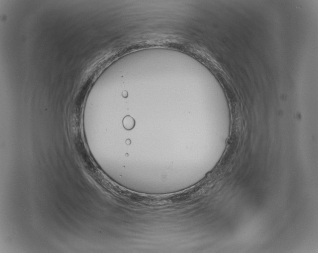 X0000080160683200612081028