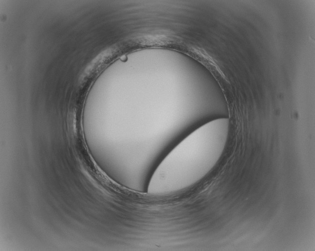X0000080160686200612081028