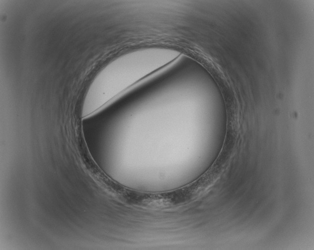 X0000080160689200612081028