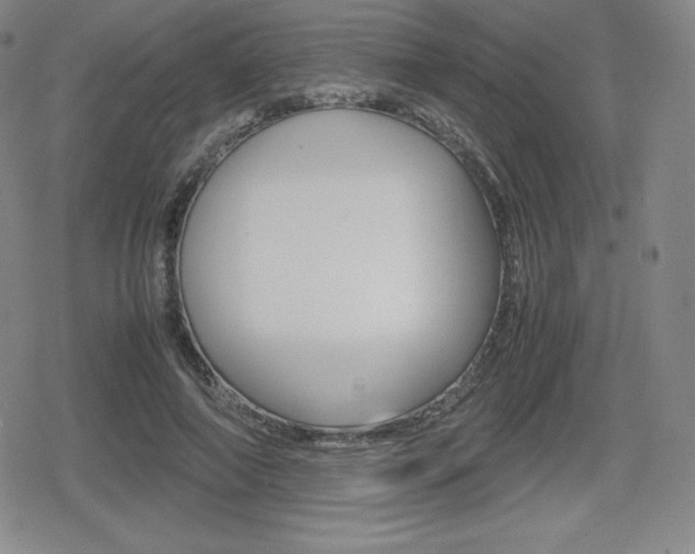 X0000080160690200612081027