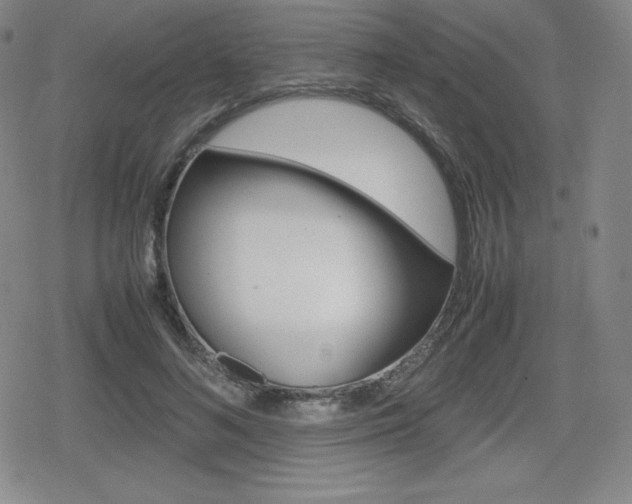 X0000080160692200612081027