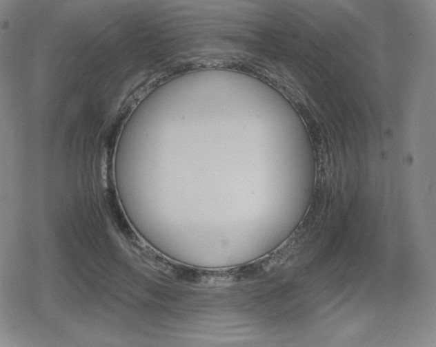 X0000080160694200612081027
