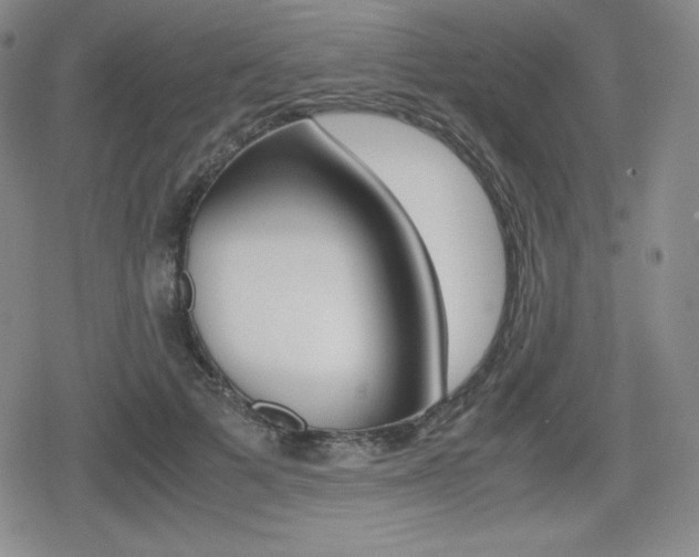 X0000080160697200612081027