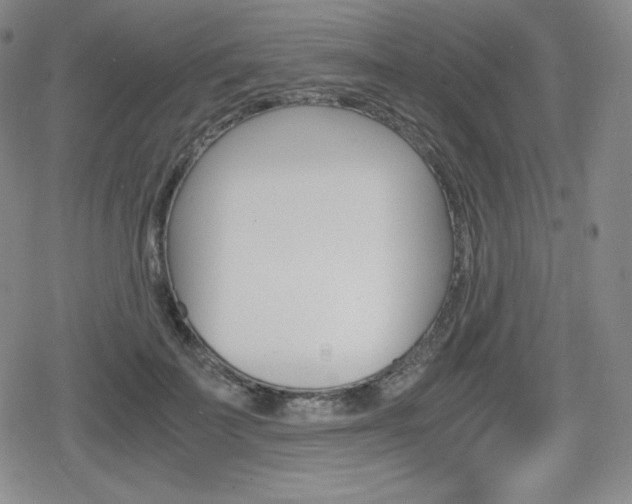 X0000080160699200612081027