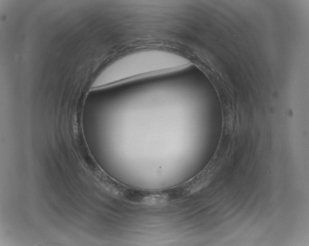 X0000080160700200612081027