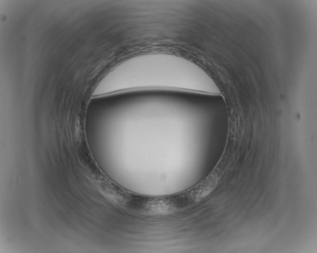X0000080160704200612081027