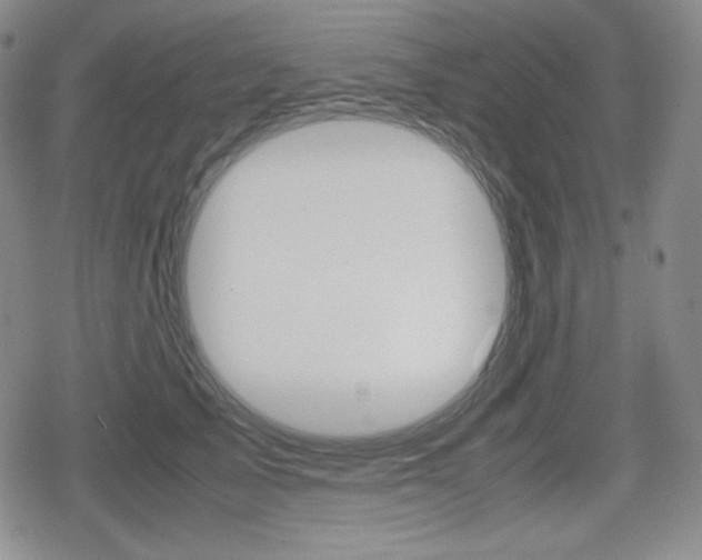 X0000080160705200612081027