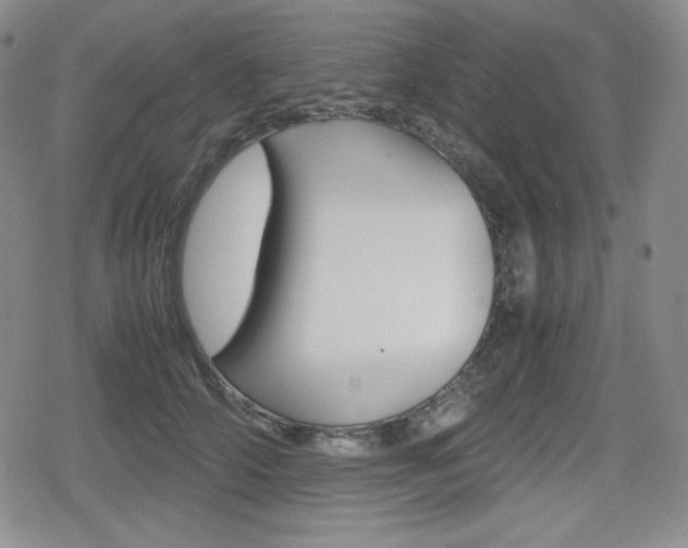 X0000080160706200612081027