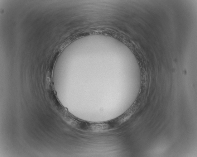 X0000080160707200612081027