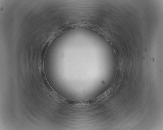 X0000080160708200612081027