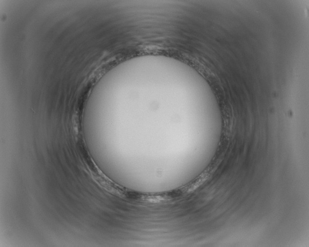 X0000080160710200612081027