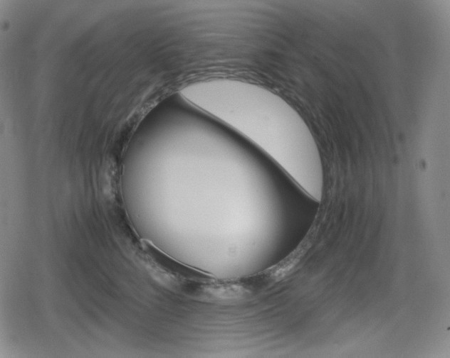 X0000080160712200612081027