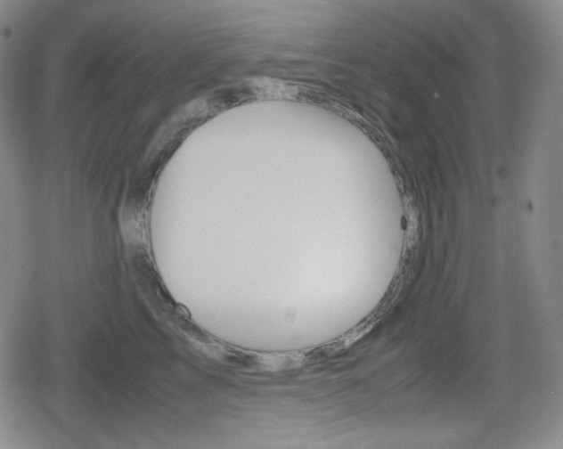 X0000080160713200612081027