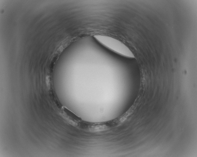 X0000080160716200612081027