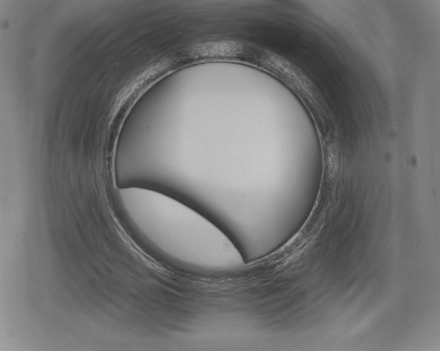 X0000080160725200612081026